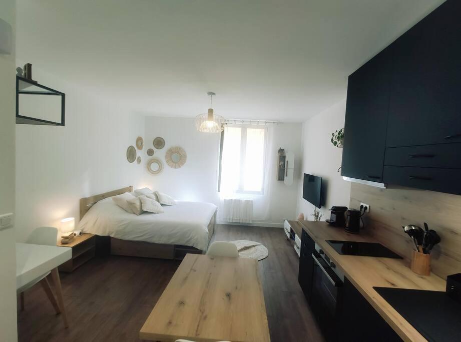Annecy Vieille Ville, Superbe Appartement Au Calme エクステリア 写真
